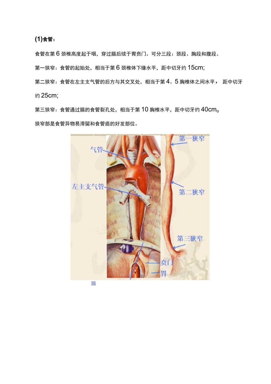 最新：上消化道出血病人的紧急处置与护理.docx_第2页