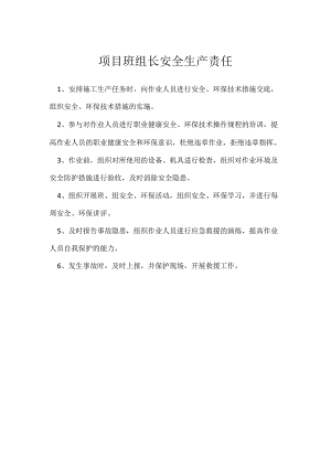 项目班组长安全生产责任模板范本.docx