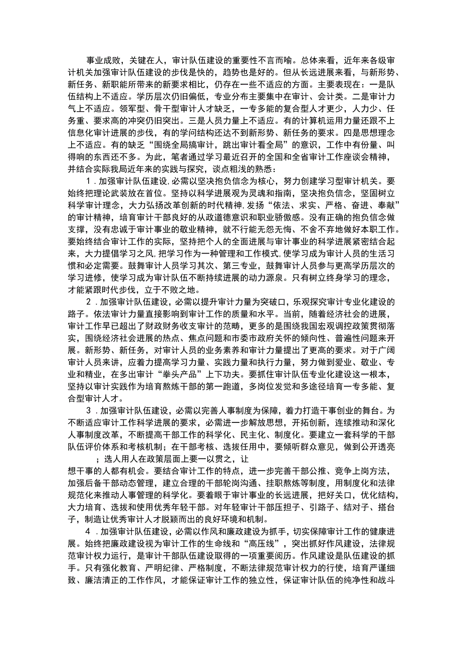 加强审计队伍建设的调研报告.docx_第3页