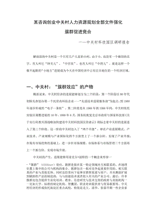 某咨询创业中关村人力资源规划全部文件强化簇群促进竞合.docx