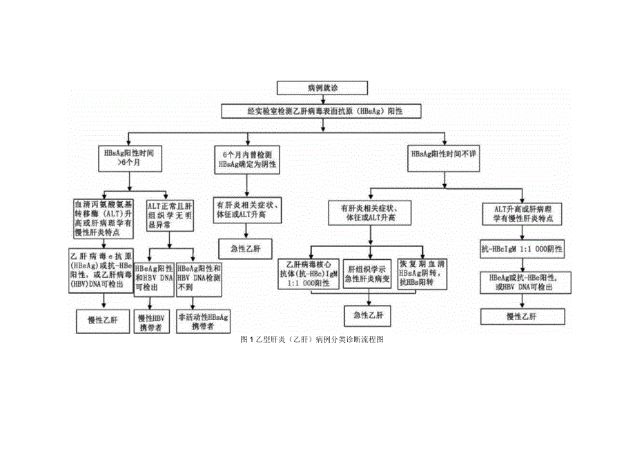 乙型肝炎诊断标准.docx_第3页