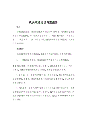 机关效能建设自查报告统计局推行效能政府四项制度活动自查报告.docx