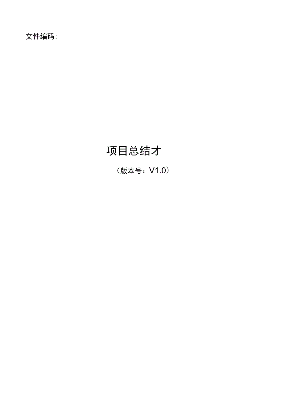 模板-it维护项目总结报告.docx_第1页