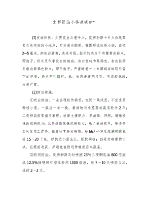 怎样防治小香葱锈病.docx