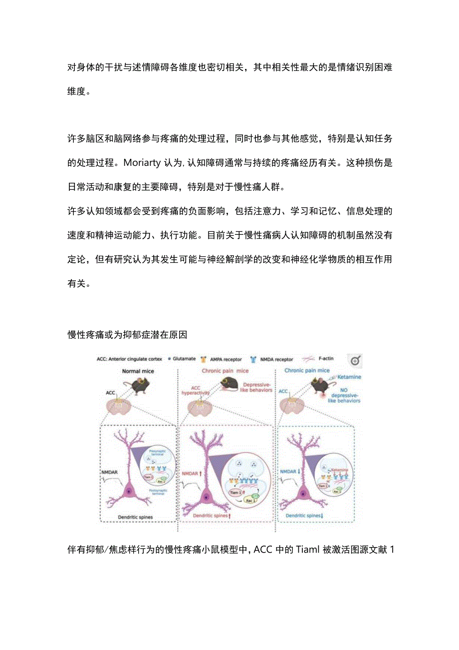 最新：慢性疼痛与精神障碍.docx_第2页