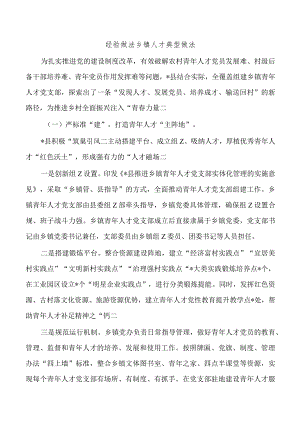 经验做法乡镇人才典型做法.docx