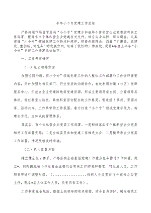 半年小个专党建工作总结.docx