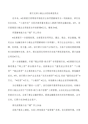 银行支持小微企业经验典型亮点.docx