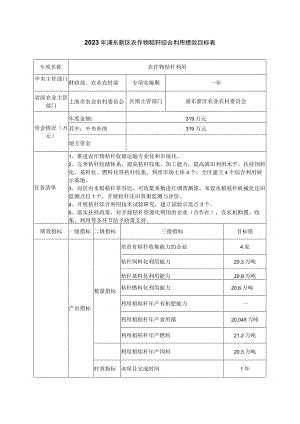 2023年浦东新区农作物秸秆综合利用绩效目标表.docx