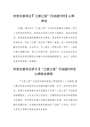 村党支部书记【“三抓三促”行动进行时】心得体会(通用三篇).docx