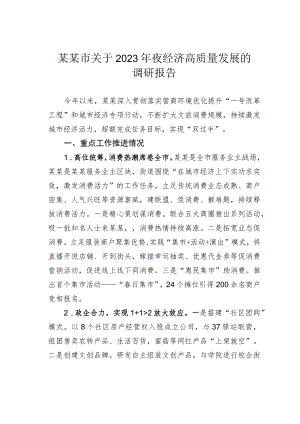 某某市关于2023年夜经济高质量发展的调研报告.docx