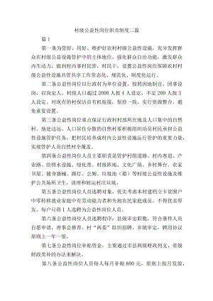 村级公益性岗位职责制度二篇.docx