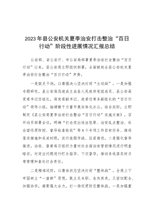 县公安夏季治安打击整治“百日行动”总结报告10篇.docx