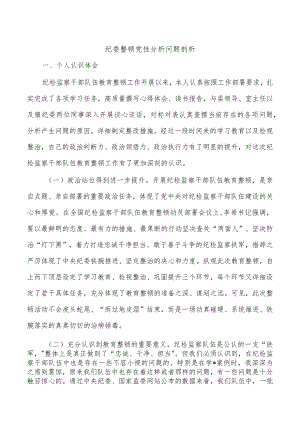 纪委整顿党性分析问题剖析.docx