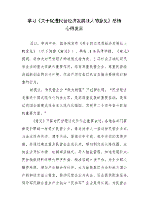 学习贯彻《关于促进民营经济发展壮大的意见》感悟心得发言材料4篇.docx