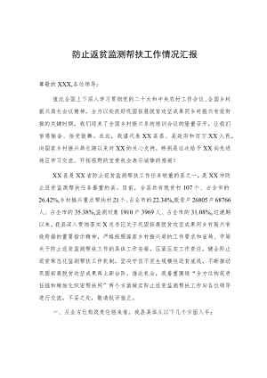 防止返贫监测帮扶工作情况汇报.docx