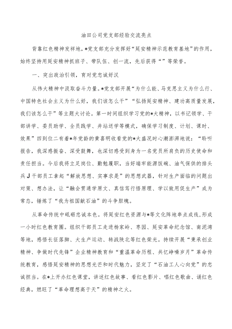 油田公司党支部经验交流亮点.docx_第1页