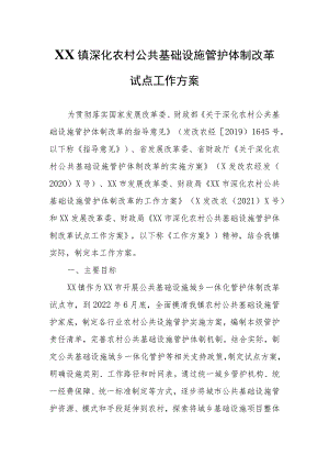 XX镇深化农村公共基础设施管护体制改革试点工作方案.docx