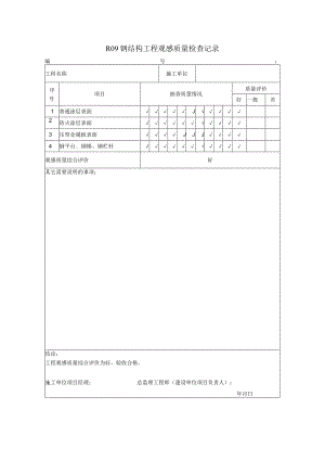 R09 钢结构工程观感质量检查记录.docx