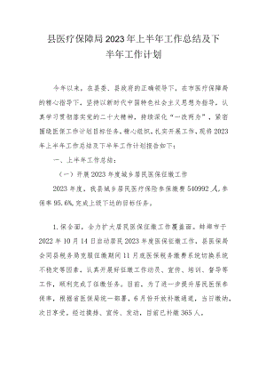 县医疗保障局2023年上半年工作总结及下半年工作计划.docx