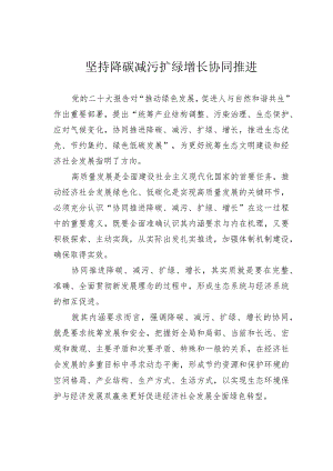 坚持降碳减污扩绿增长协同推进.docx