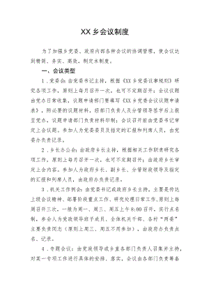 XX乡会议制度.docx