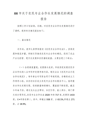 XX市关于农民专业合作社发展情况的调查报告.docx