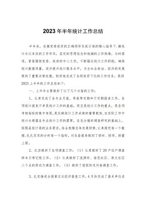 2023年半年统计工作总结.docx