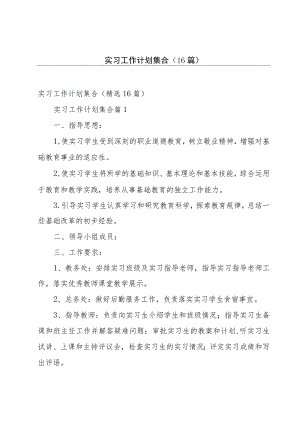 实习工作计划集合（16篇）.docx