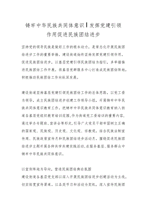 铸牢中华民族共同体意识丨发挥党建引领作用 促进民族团结进步.docx