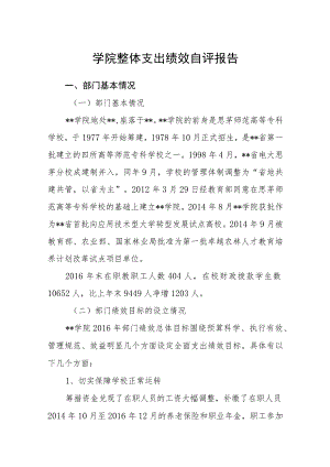 学院整体支出绩效自评报告.docx