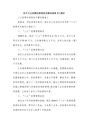 关于三公经费自查报告及整改措施【六篇】.docx