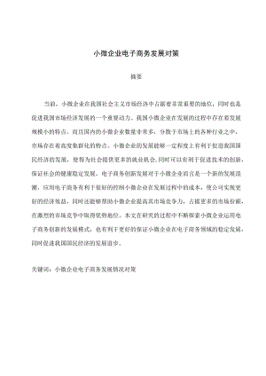 小微企业电子商务发展对策 电子商务专业.docx