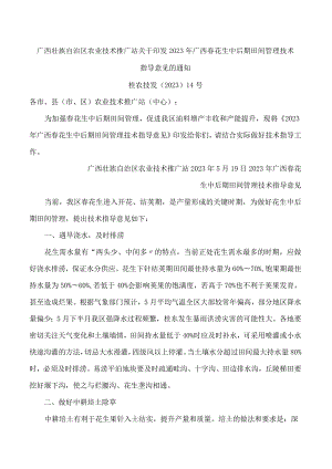 广西壮族自治区农业技术推广站关于印发2023年广西春花生中后期田间管理技术指导意见的通知.docx