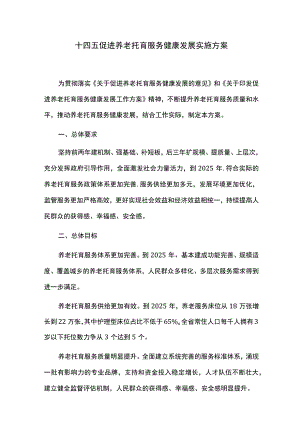 十四五促进养老托育服务健康发展实施方案.docx