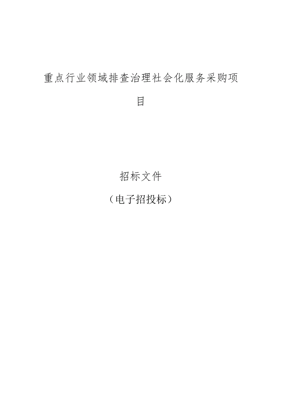 重点行业领域排查治理社会化服务采购项目招标文件.docx_第1页