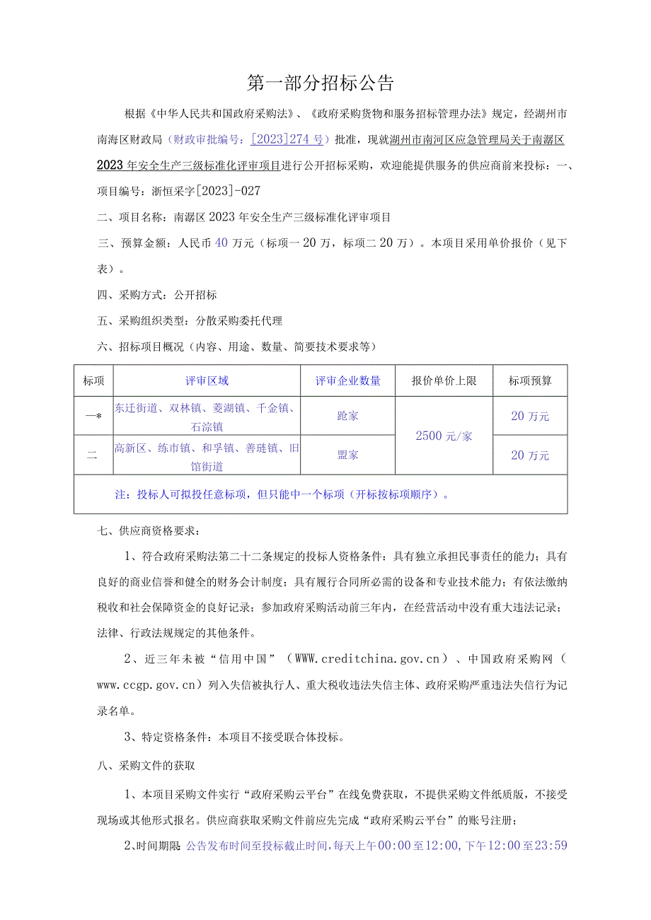 2023年安全生产三级标准化评审项目招标文件.docx_第2页