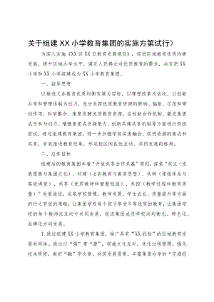 关于组建XX小学教育集团的实施方案（试行）.docx