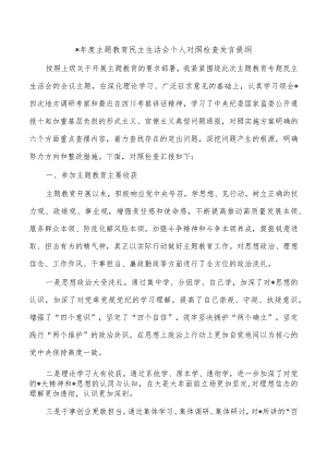 年度主题教育民主生活会个人对照检查发言提纲.docx