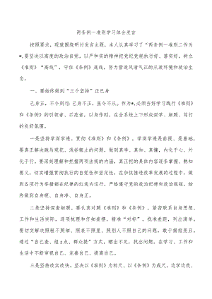 两条例一准则学习体会发言.docx