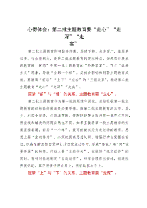 心得体会：第二批主题教育要“走心”“走深”“走实”.docx