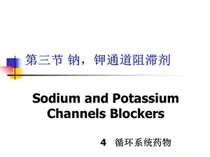 钠钾通道阻滞剂.ppt