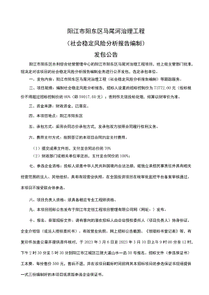 阳江市阳东区马尾河治理工程社会稳定风险分析报告编制.docx