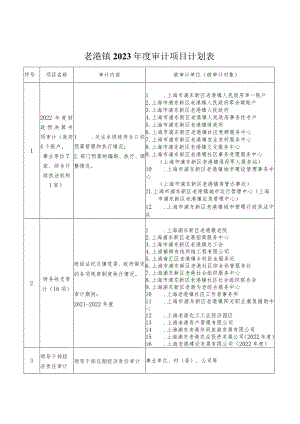 老港镇2023年度审计项目计划表.docx