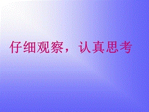 面包发霉了.ppt