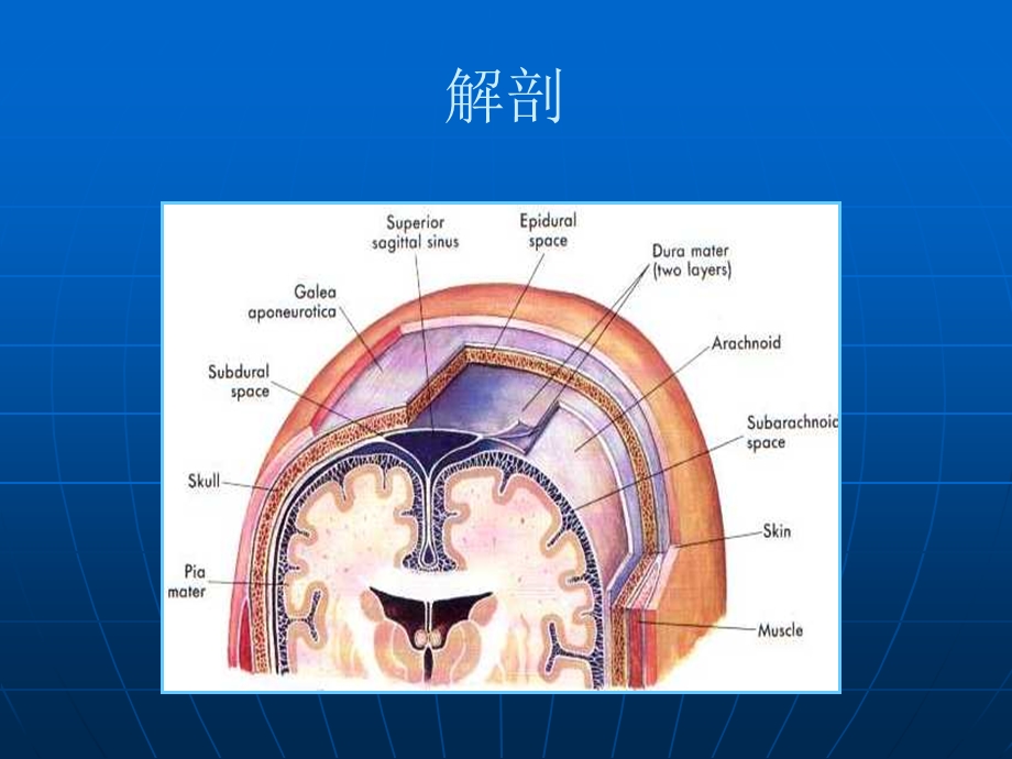 颅脑外伤研究.ppt_第3页