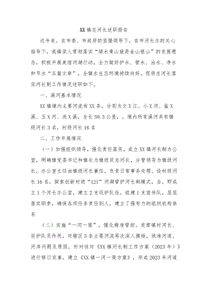 XX镇总河长述职报告.docx