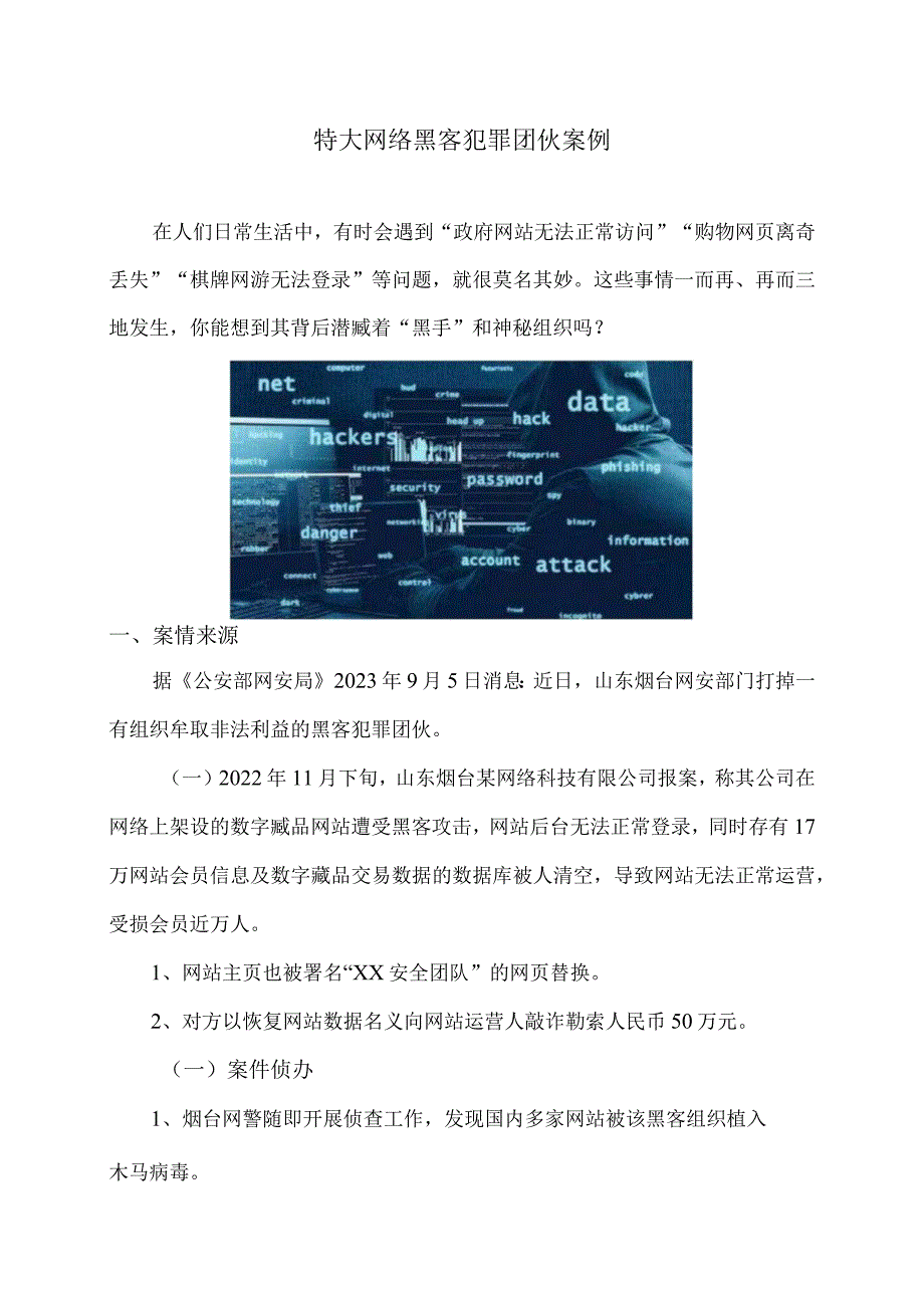 特大网络黑客犯罪团伙案例（2023年）.docx_第1页