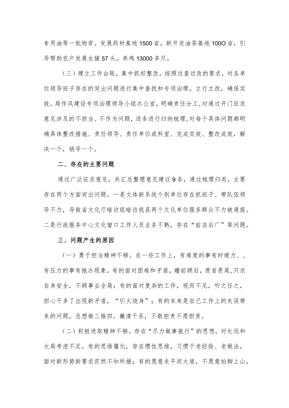 关于县文体新局不担当.docx_第2页