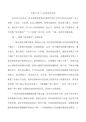 专题23年个人检查剖析材料.docx